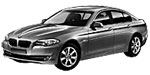 BMW F10 P0A21 Fault Code